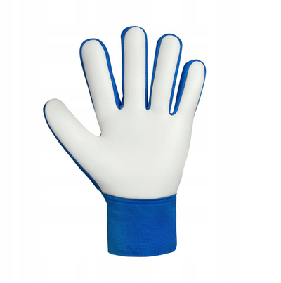 Doreza portjeri Reusch Attrakt Starter Solid Jr 5572514 4467 për kalamaj, blu