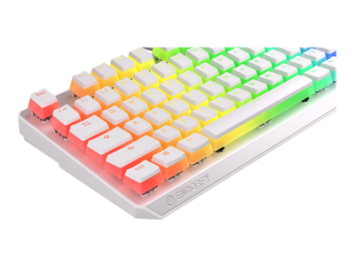 Tastierë Endofry Thock TKL Pudding EY5A009 - USB, e bardhë