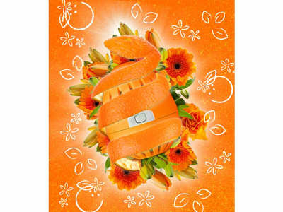 Pastrues rrobash Ecoegg Laundry Egg Orange Blossom z72644, 70 larje