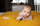 Set shtrati Cotton Bedding For You për djep, 100 x 135 cm, 40 x 60 cm, pambuk