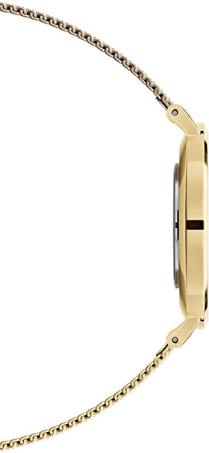 Orë dore Daniel Wellington Petite DW00100346