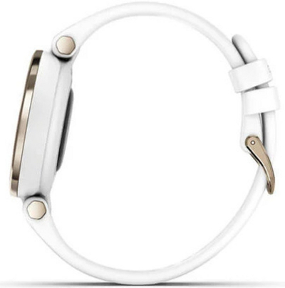 Orë e mençur Garmin 010-02384-10