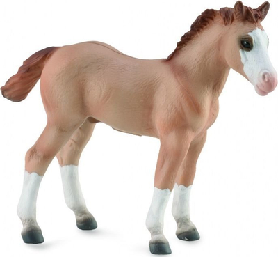Figurë Collecta - Mëzi i murrmë