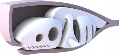 Lodër edukative HalfToys Sperm Whale HOS005, puzzle 3D me magnet, 5 pjesë, lejla