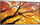 Monitor profesional Sharp MultiSync M432, 43", 4K Ultra HD, i zi