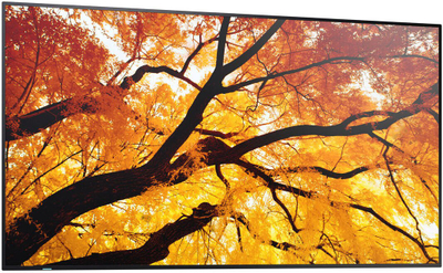 Monitor profesional Sharp MultiSync M432, 43", 4K Ultra HD, i zi