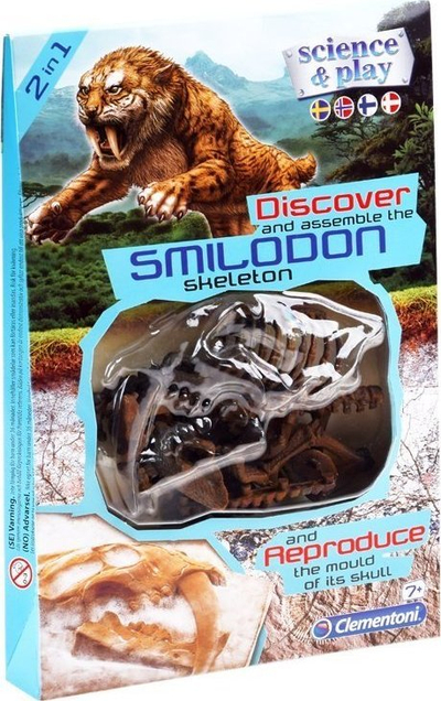 Set eksperimental Clementoni Smilodon Skeleton, ndërtim skeleti tigri, gips për kallëp, shumengjyrësh