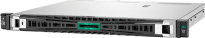 Server rack HPE ProLiant DL20 Gen11, Xeon E-2436, 32GB RAM, 2x480GB SSD, ngjyrë argjendtë