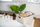 Kuti storage Koziol Boxxx L Organic, 15L, 31 x 48 x 23.7 cm, bezhë