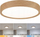 Plafonier tavani Paulmann Tega LED, IP44, CCT, pamje dru