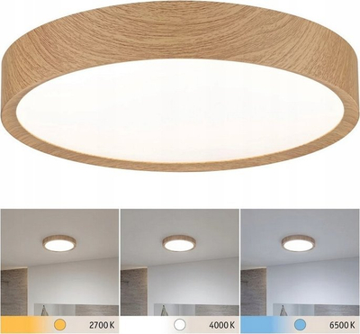 Plafonier tavani Paulmann Tega LED, IP44, CCT, pamje dru