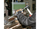 Set kaçavidash goditëse Beta Tools 1243/D7, 7 copë