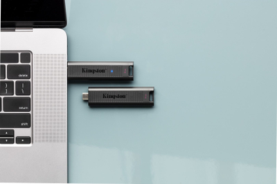 USB Kingston DataTraveler Max, 1TB, i zi