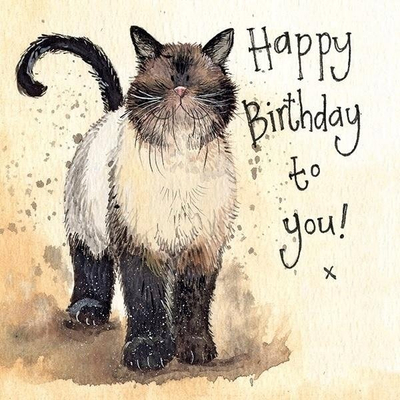 Kartolinë urimi Teka AC730 Birthday Cat Coco, me letër shkrimi, shumngjyrëshe