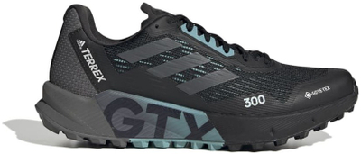 Atlete për femra Adidas Terrex Agravic Flow 2 Gtx W, nr. 40 2/3