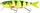 Karrem artificial Savage Gear 4Play V2 Liplure SF 05, 13.5cm, 18g, Firetiger
