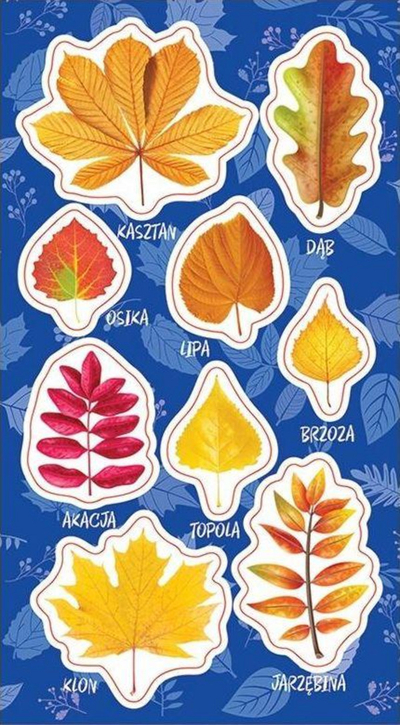 Stickers dekorativë Jesmon Autumn Leaves, motive gjetesh, ngjyra vjeshte