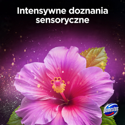 Bllok WC Domestos Aroma Lux Hibiscus Charm, 3x50g, me erë hibiskusi