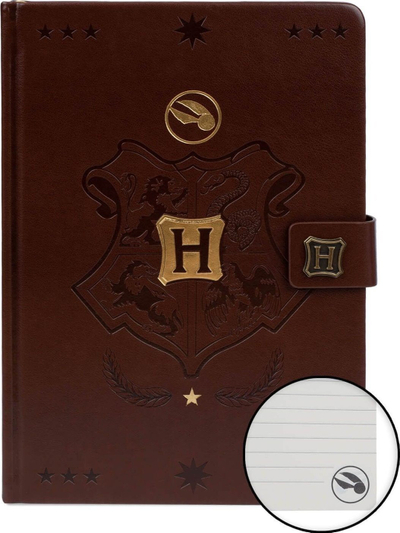 Тетратка Harry Potter Quidditch Premium, A5, тврд повез, повеќебојна