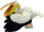 Figurinë lodër LeanToys Pelican Animals of the World, plastikë, për fëmijë 3+, shumëngjyrëshe