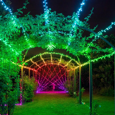 Drita dekorative LED Twinkly Strings TWS250SPP TEU, 250 llampa, RGBW, shumëngjyrëshe