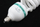 Set ndriçimi studio iShoot Softbox 40x40cm, llambë 65W, tripod, i zi