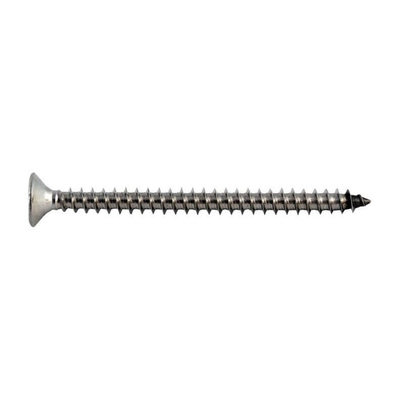 Vida druri Haushalt WOOD SCREW A2 3x20, TORX, inoks