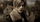 Resident Evil 4 - Remake Disk Version PS5