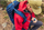 Shpinë turistike Gregory Zulu 30, 30L, sistem FreeFloat, blu halo