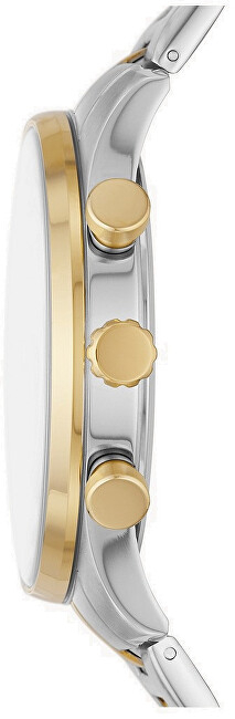 Orë për meshkuj Fossil Sullivan Multifunction BQ2693, dyngjyrëshe