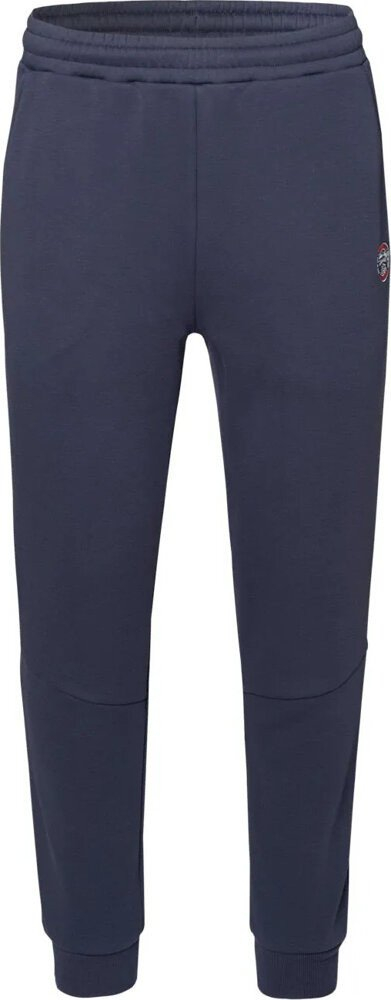 Pantallona sportive Iguana Milton Pants, për meshkuj, M, gri