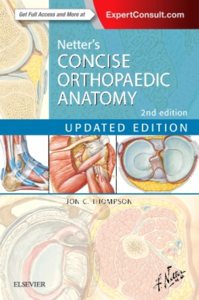 Netter's Concise Orthopaedic Anatomy With Enhanced Ebook - Jon C.  Thompson