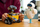 Set ndërtimi LEGO Disney Pixar Wall E dhe Eve 43279, për fëmijë, shumëngjyrësh