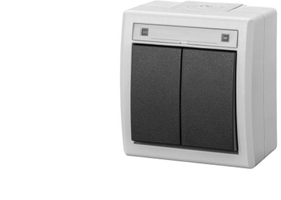 Çelës i dyfishtë mbi mur Elektro-Plast Aquant 2K 5002-10, IP55, gri