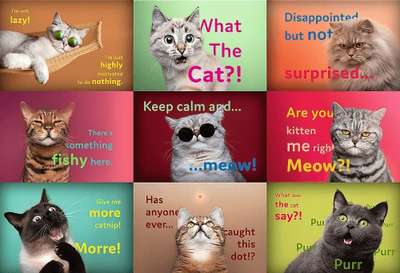 Puzzle Trefl Funny Cat Portraits, 1500 copa, 85 x 58 cm, shumëngjyrësh