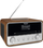 Radio TechniSat DigitRadio 586, e kaftë / argjendtë