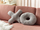 Set jastëkësh dekorativë Beliani HESPERIS, teddy bouclé, 2 copë, gri e çelët
