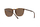 Syze dielli Ralph Lauren Polo 0PH4141-500373