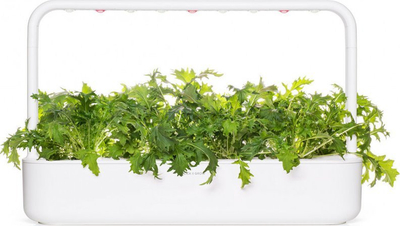 Паметно полнење за растенија Click & Grow Mizuna, сет 3 парчиња, зелено
