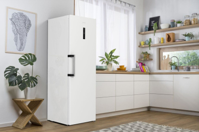 Frigorifer Gorenje R619EAW6, kapacitet i madh, A++, i bardhë
