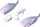 Lodër edukative HalfToys Sperm Whale HOS005, puzzle 3D me magnet, 5 pjesë, lejla