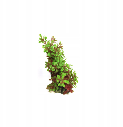 Bimë artificiale për akuarium Aqua Natura, 12–20 cm, plastikë, jeshile e kuqe