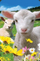 Kartolinë 3D Worth Keeping Mini Sheep, prej letre guri, me motiv pranvere, shumëngjyrëshe