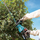 Gërshërë kopshti Makita UH005G, pa tel, 750mm, brushless, pa bateri