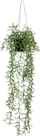 Bimë artificiale varëse VidaXL Senecio, 70 cm, në vazo, jeshile