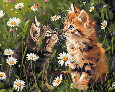 Set pikturimi me numra Norimpex Cats in Flowers, kanavacë 40x50cm, për të rritur dhe fëmijë