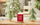 Qiri aromatik Yankee Candle Sparkling Cinnamon, 567g, 2 fitila, i kuq