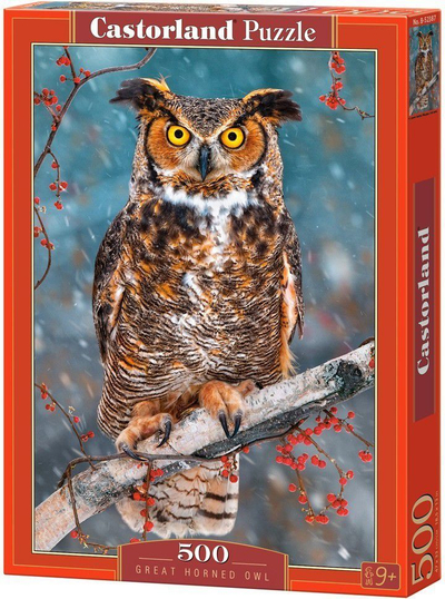 Puzzle Castorland Owl (52387), shumëngjyrësh