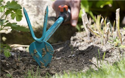 Shati për kopsht Gardena 