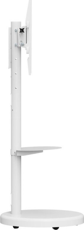 Stendë TV Techly ICA-TR55, universal, deri 86", 50kg, e bardhë